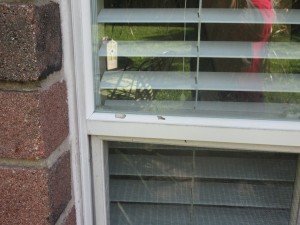 This is what hail damage to your window glazing looks like!