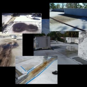 Flat Roof