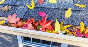 fall-home-maintenance