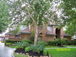 30 YR GAF/ELK Timberline Prestique HD – Barkwood