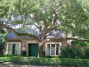 40 YR GAF/ELK Timberline Prestique – Weathered Wood